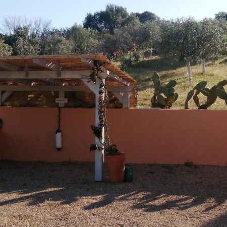 Mare E Campagna Villa Murta Maria Kültér fotó