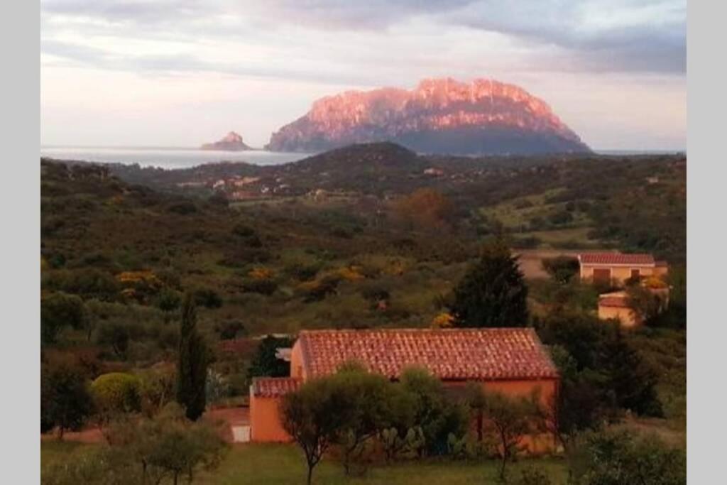 Mare E Campagna Villa Murta Maria Kültér fotó