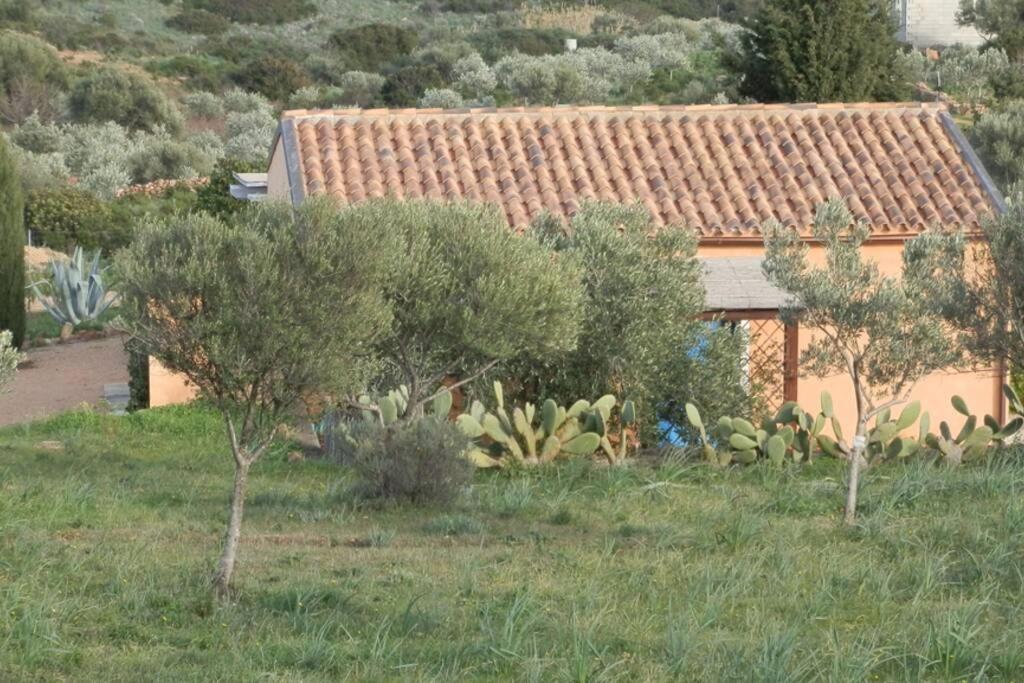 Mare E Campagna Villa Murta Maria Kültér fotó