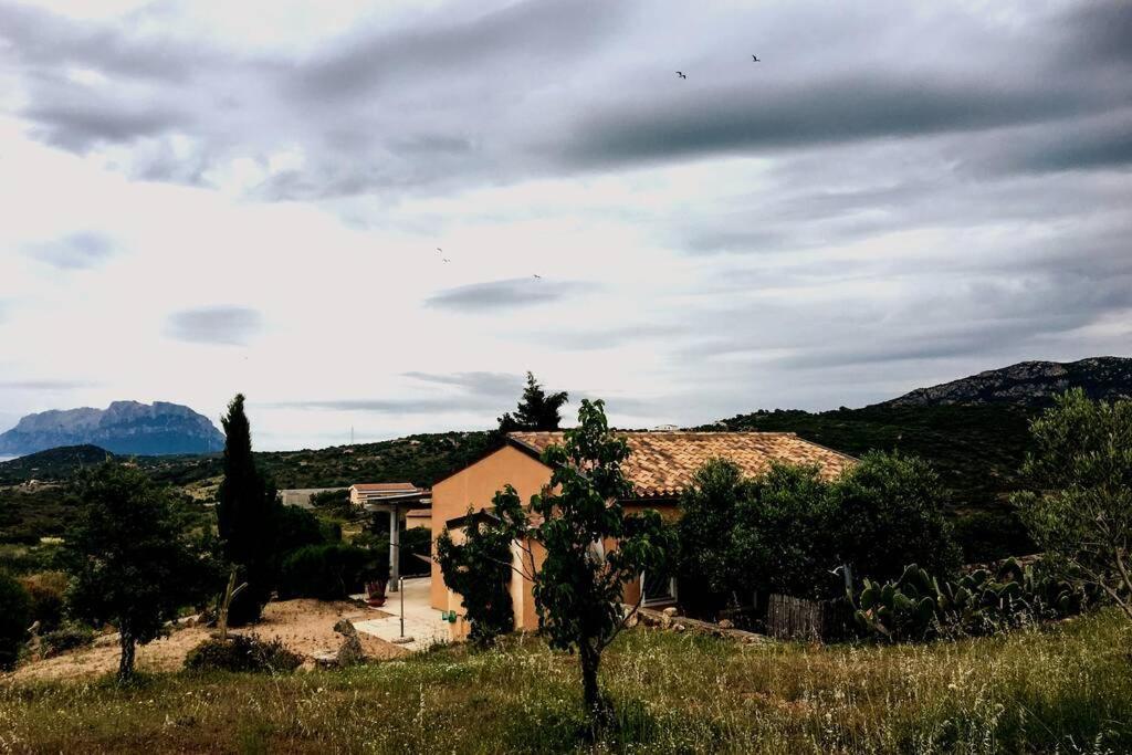 Mare E Campagna Villa Murta Maria Kültér fotó